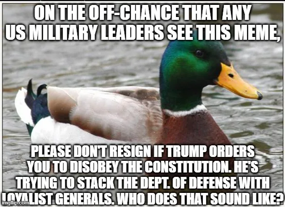 A photo of a mallard duck floating calmly on water, with bold white text overlaid in two blocks. The top text reads 'ON THE…