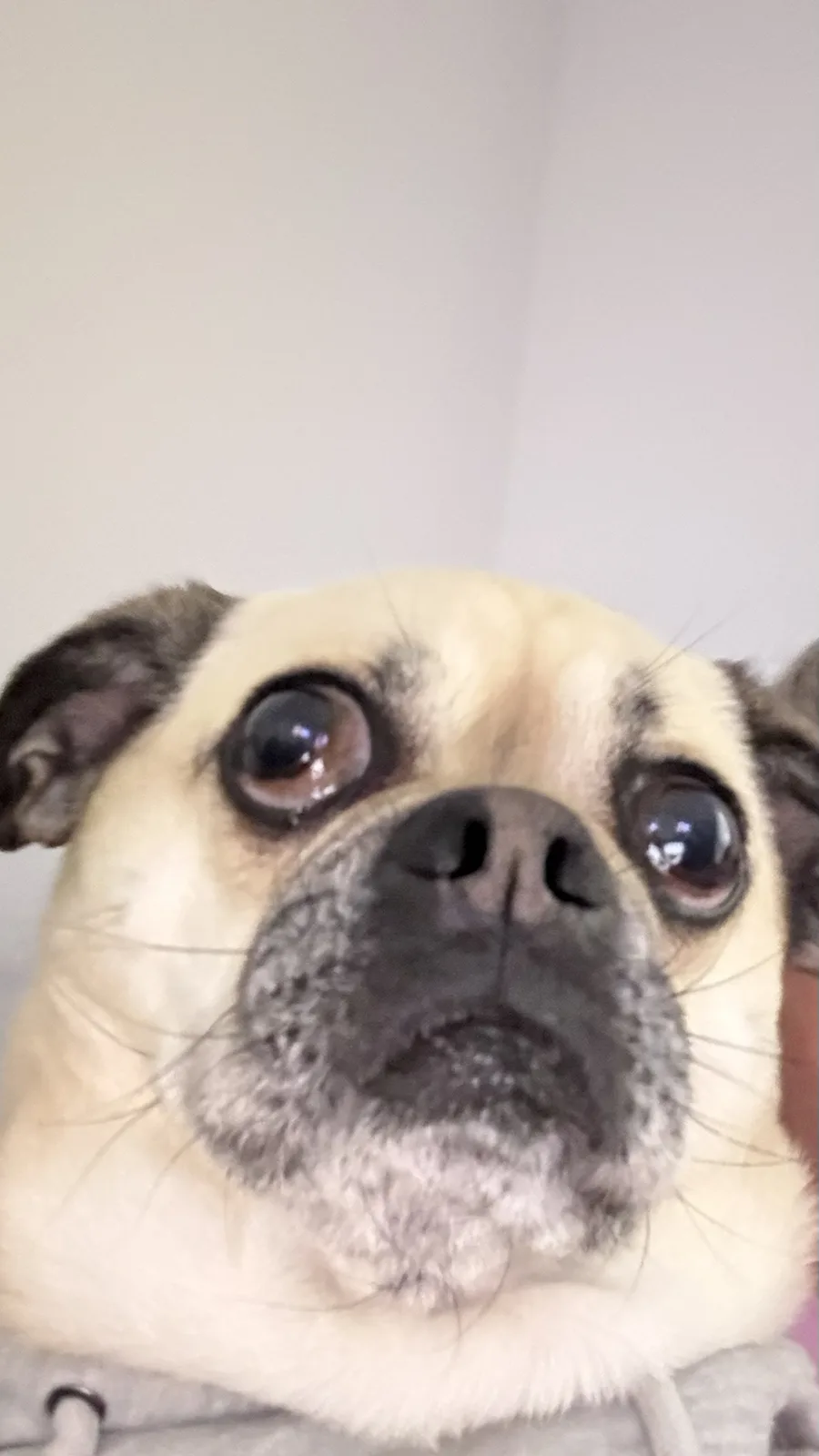 From My Chug: Exploring Two More Moods