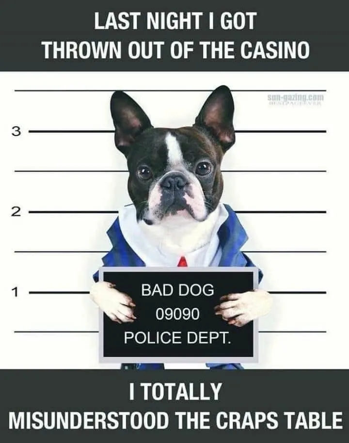 Just a hunch, but this might be the first *dog* based on some casinos.