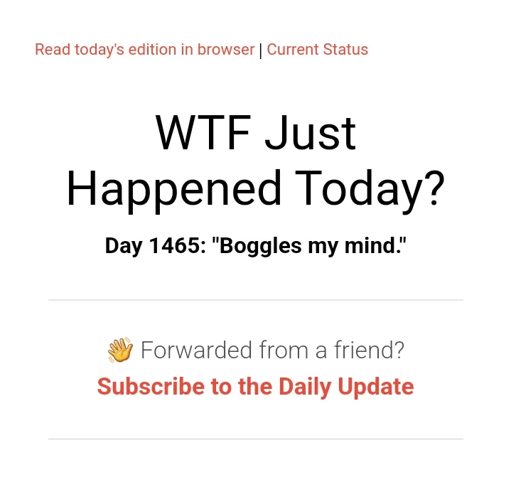 The image displays a screenshot of a newsletter titled 'WTF Just Happened Today?' with the subtitle 'Day 1465: "Boggles my…