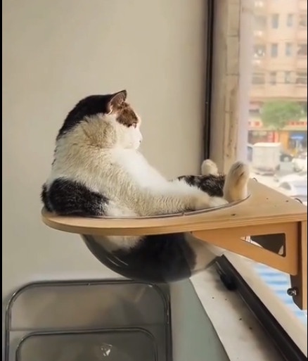 Current Mood: Relatable Vibes