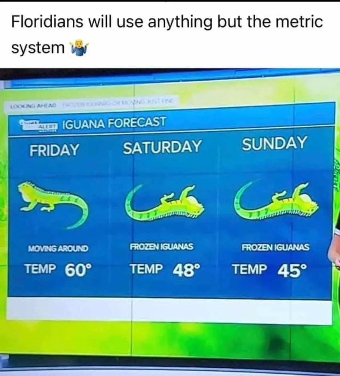 A weather forecast graphic titled 'IGUANA FORECAST' shows three days: Friday with a moving iguana at 60°, Saturday and…