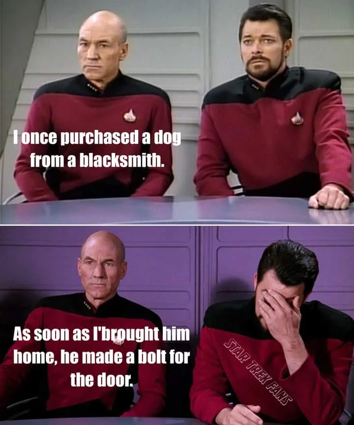 Two men in Starfleet uniforms sit at a table; the top panel shows them looking skeptical, while the bottom panel shows one…