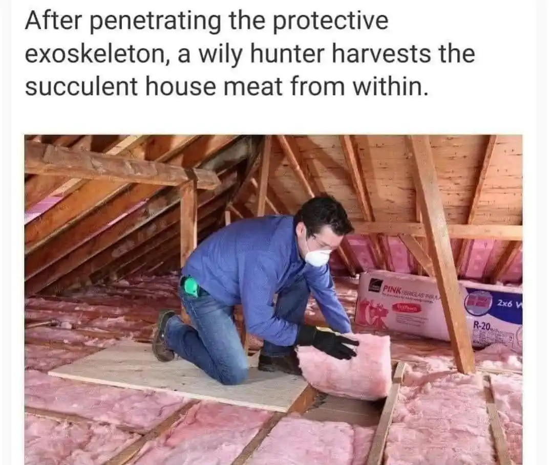 As a kid, I always thought insulation was a tasty treat!