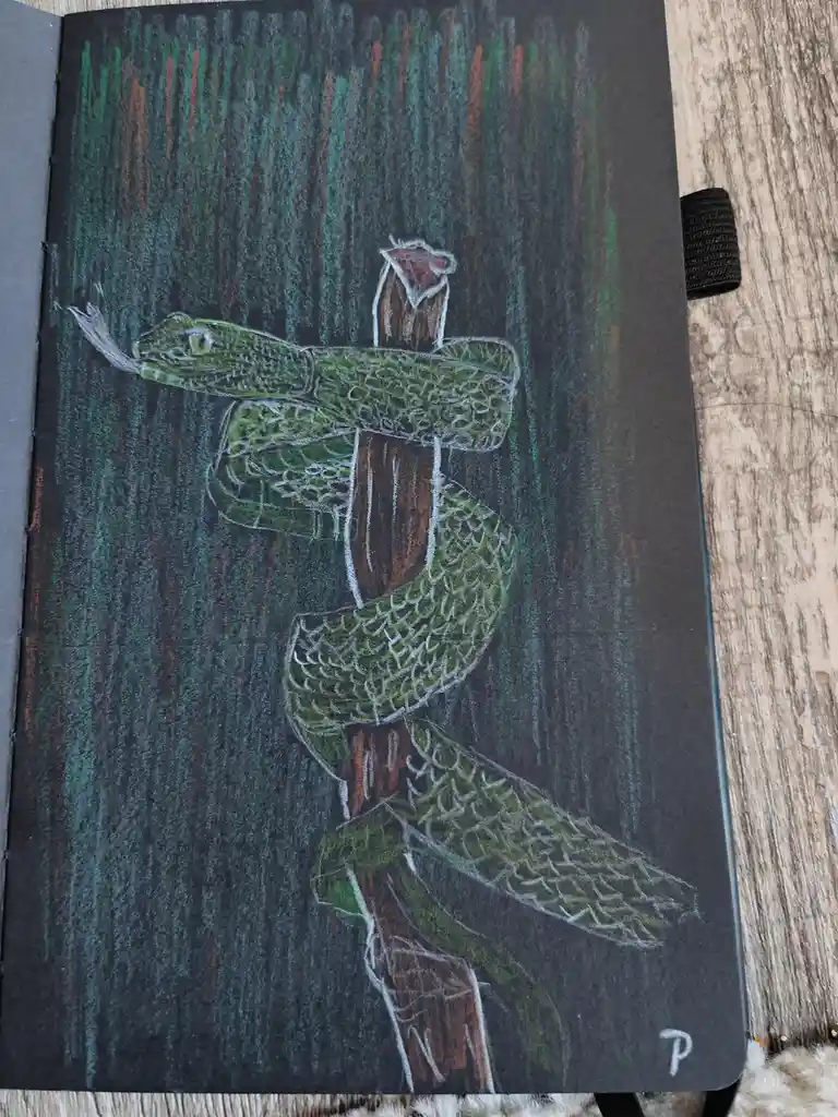 The Mysterious Snake