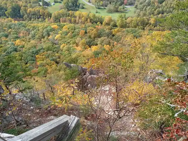 A scenic overlook of a forest in autumn with trees displaying vibrant yellow, orange, and green foliage, viewed from a…
