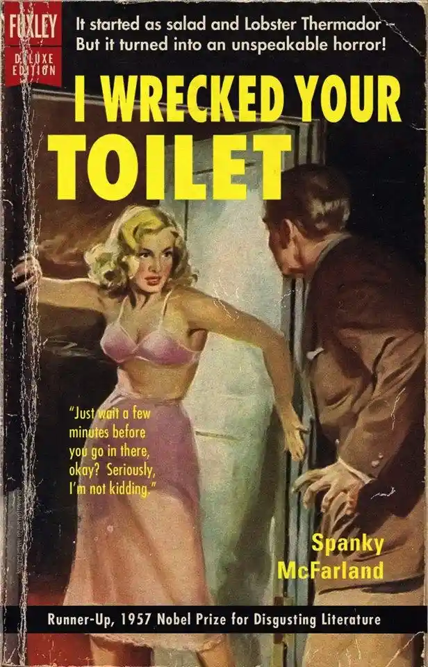 A vintage pulp novel cover parody titled 'I WRECKED YOUR TOILET' by Spanky McFarland, featuring a blonde woman in a pink…