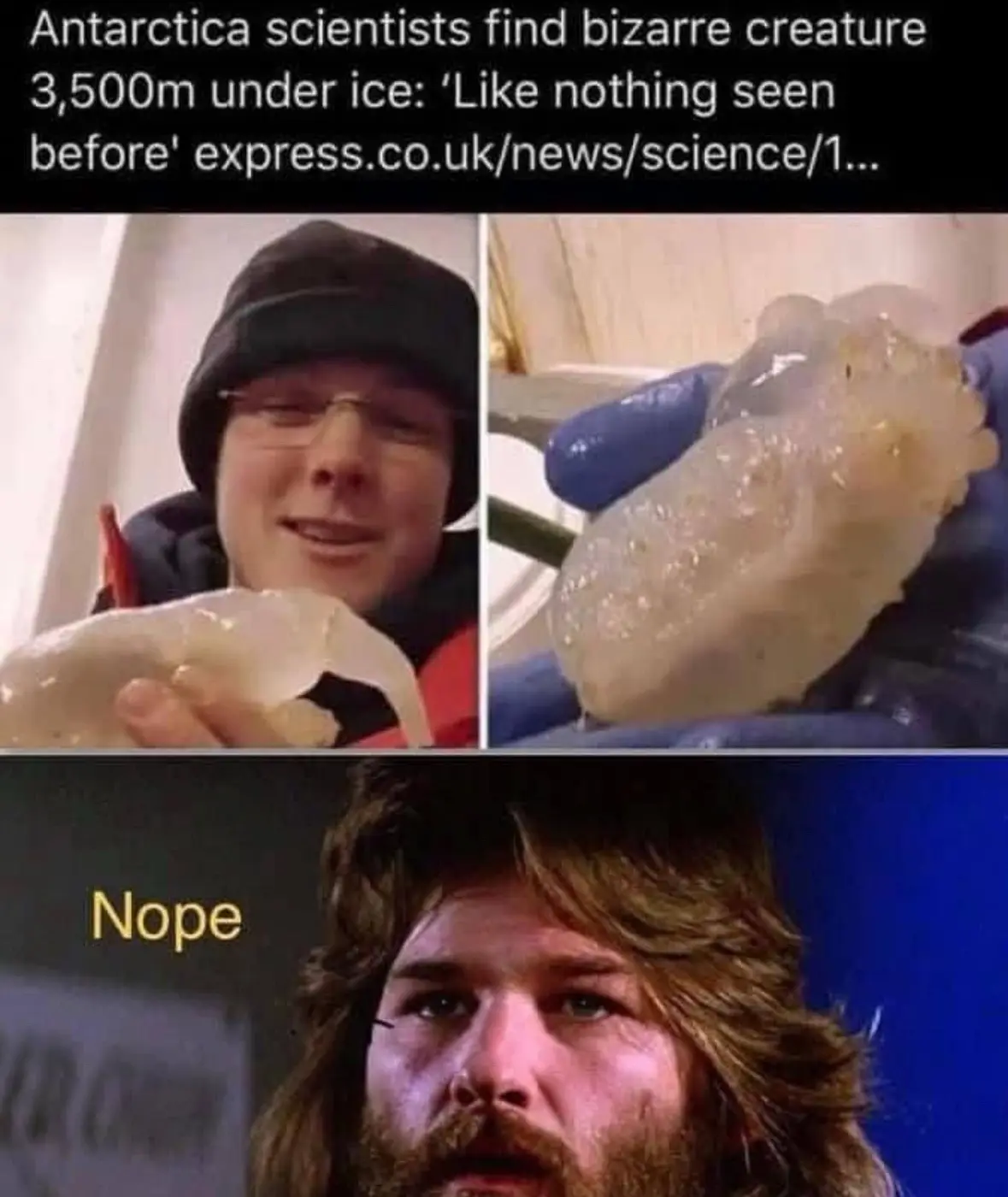 The image is a three-panel meme. The top panel shows a smiling scientist holding a translucent, gelatinous creature, with…