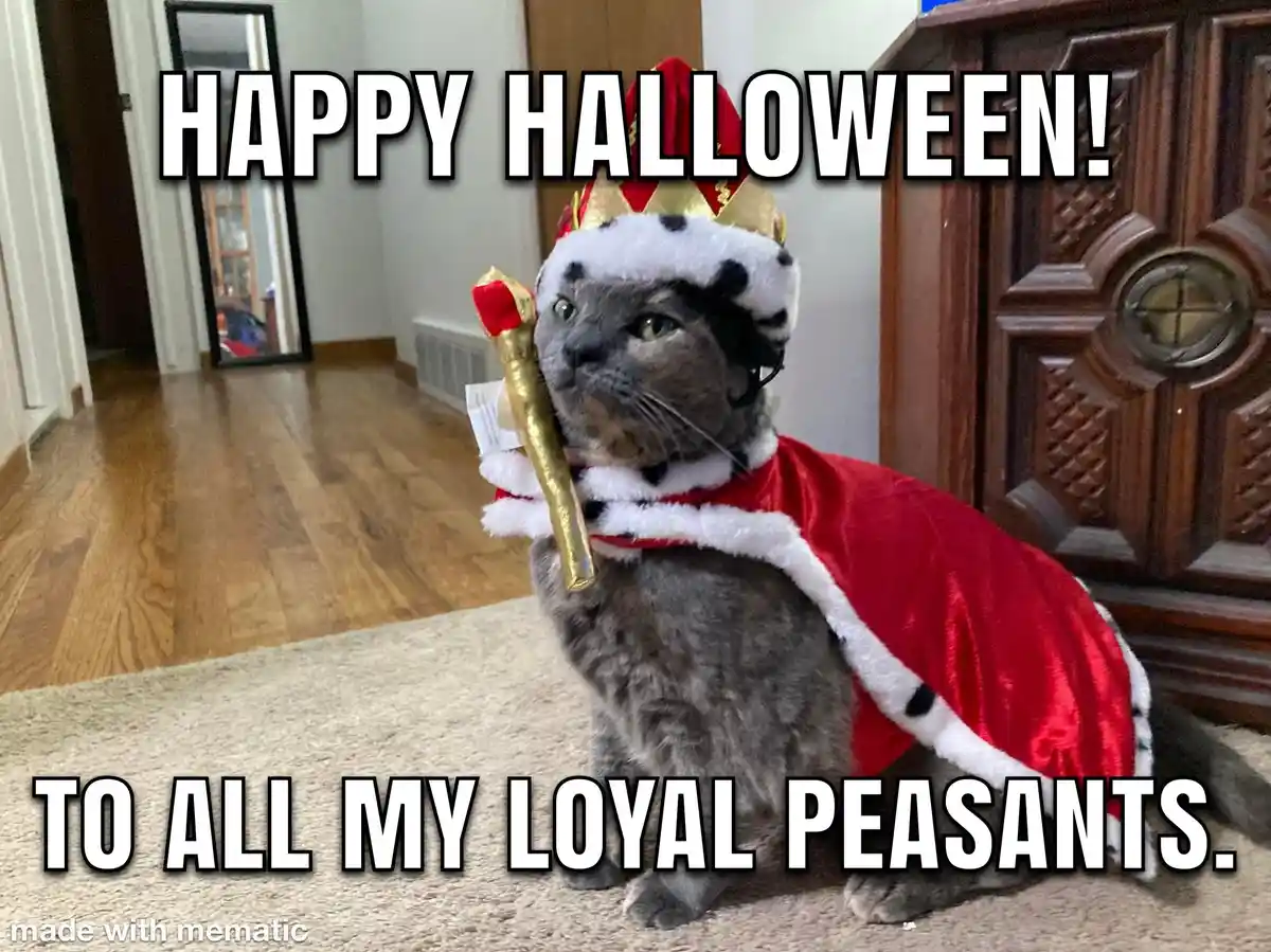 A gray cat sits on a beige carpet wearing a red and white royal costume with a crown and scepter, looking upward. The image…