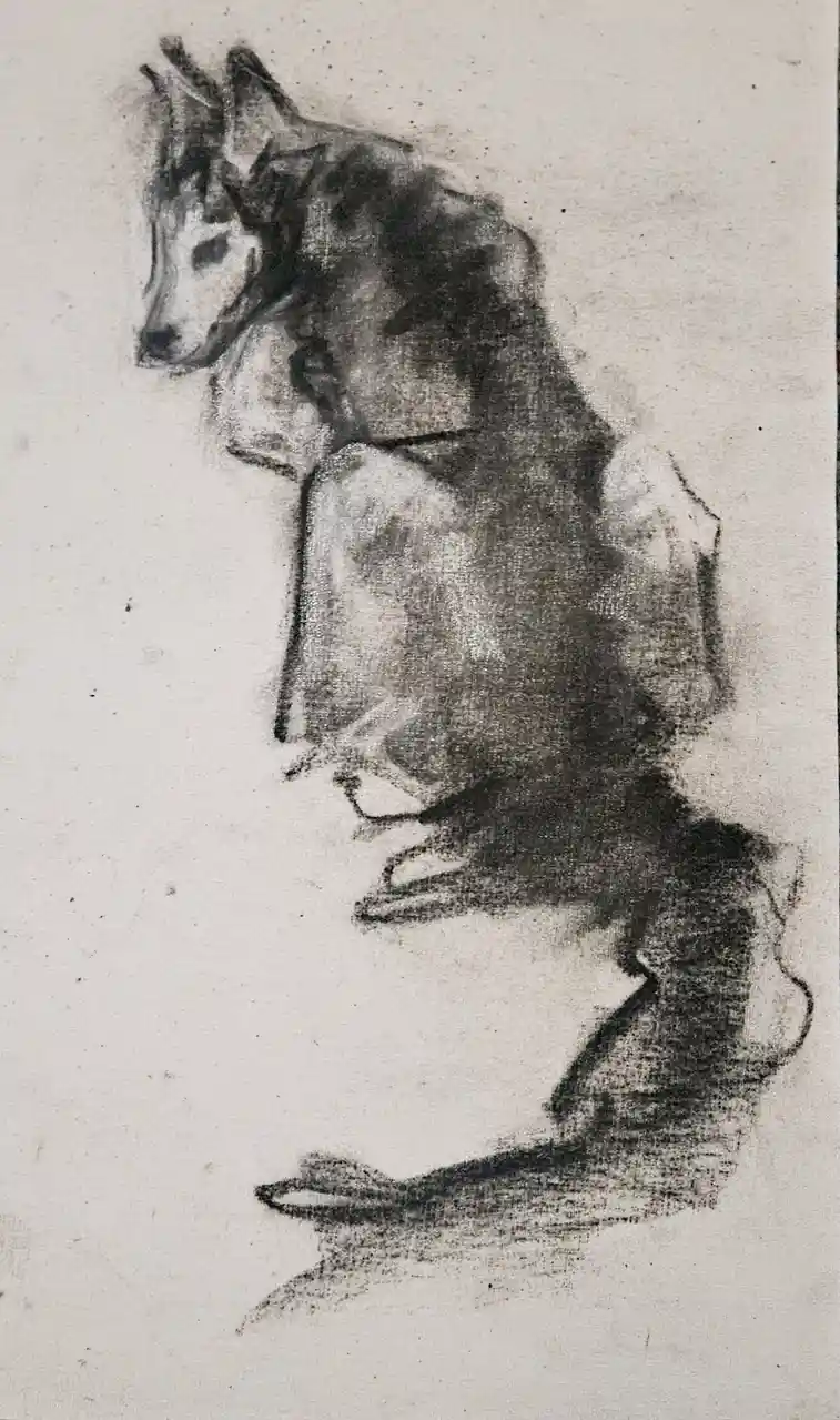 A rough charcoal sketch depicts a dog sitting upright, but its body is clearly drawn as a human torso and legs, creating a…