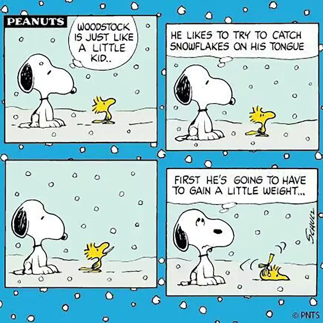 A four-panel Peanuts comic strip shows Snoopy and Woodstock in the snow. Snoopy observes Woodstock, who tries to catch…