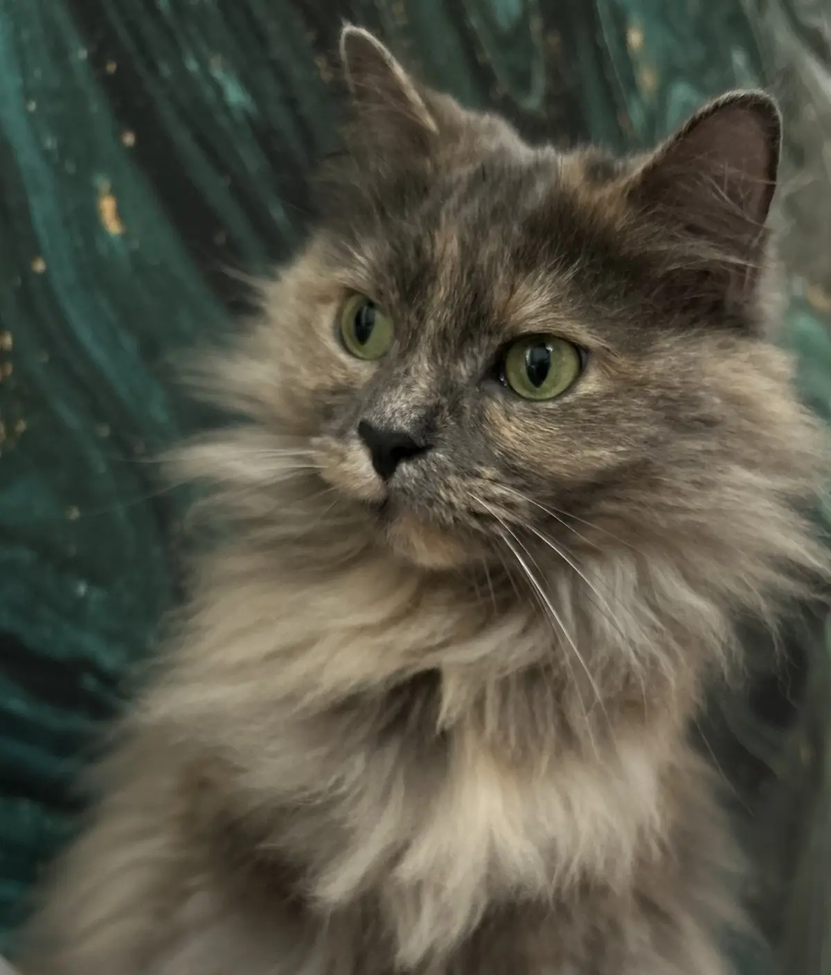 A close-up photo of a fluffy, long-haired cat with green eyes and a serious, unimpressed facial expression, looking slightly…