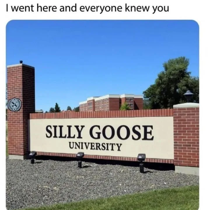 A photo of a brick university sign that reads 'SILLY GOOSE UNIVERSITY' under a clear blue sky, with campus buildings in the…