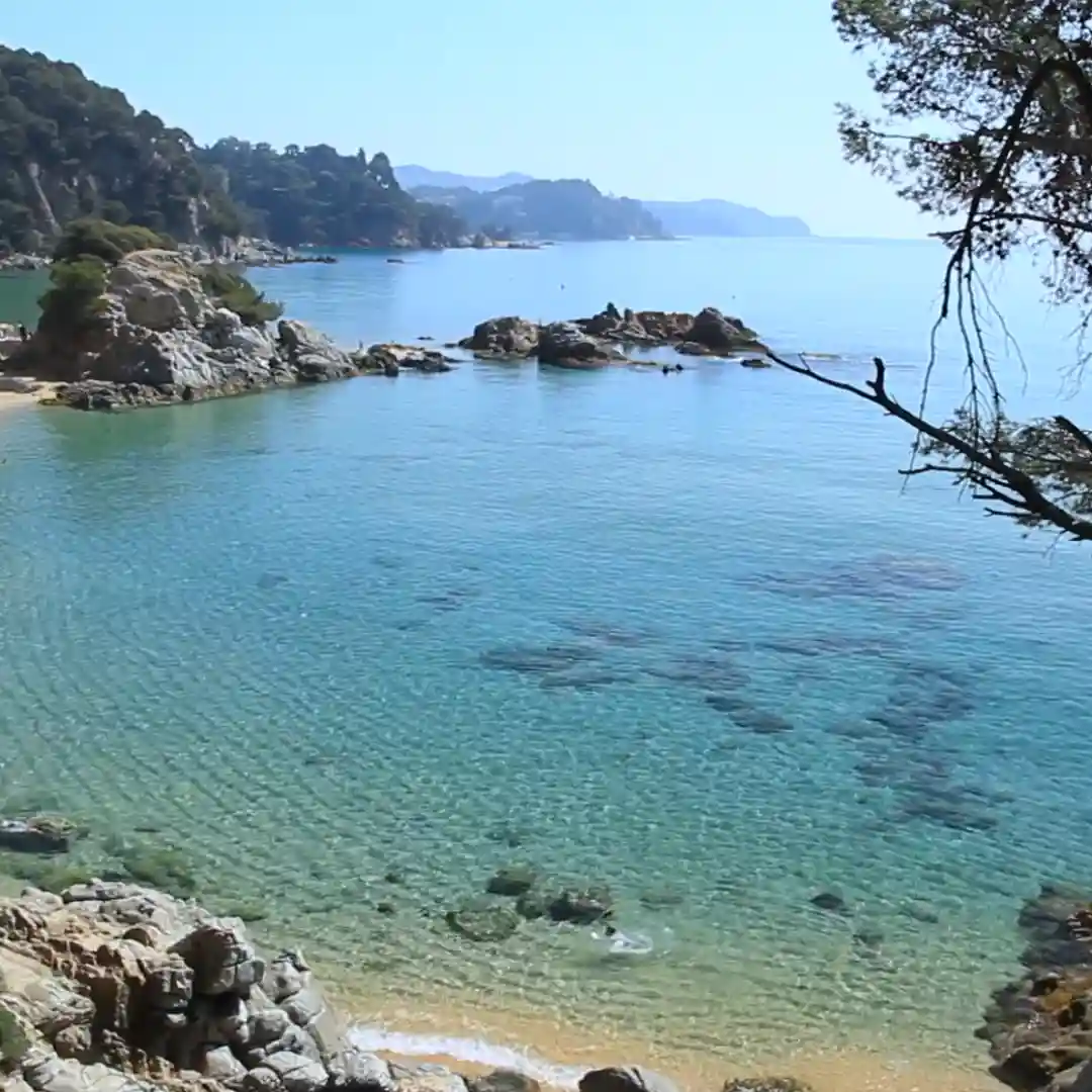 A scenic photo of a clear blue cove with rocky shores and distant hills under a bright sky, with a tree branch framing the…