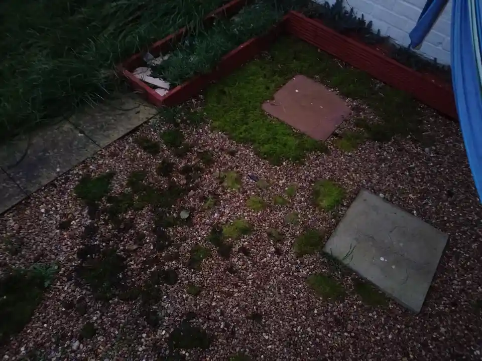 An overhead view of a gravel garden with scattered green moss patches growing between stones, next to a red wooden planter…