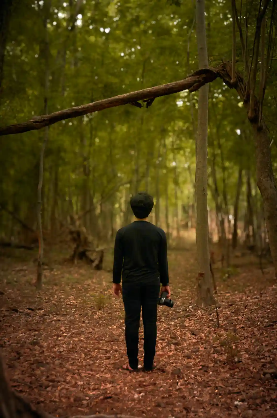 A person viewed from behind, wearing dark clothing and holding a camera, stands on a leaf-covered forest path. A large…