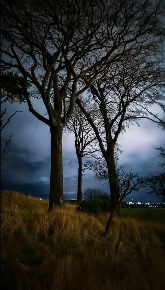 A Stormy Night Awaits.