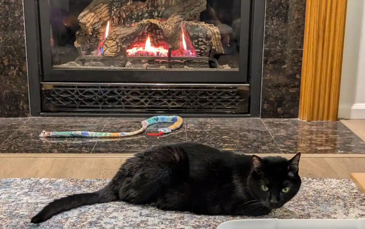 A black cat with green eyes lies on a patterned rug in front of a lit fireplace, looking unimpressed. A colorful…