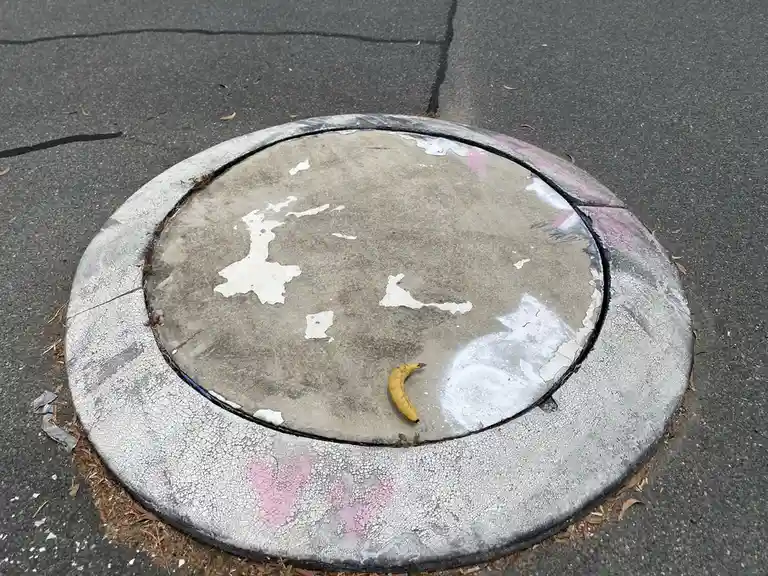 A single yellow banana rests on a weathered, circular concrete manhole cover embedded in asphalt. The cover has peeling…