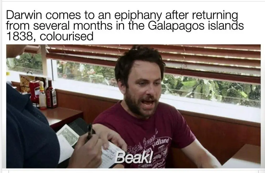 A man with a beard and maroon t-shirt sits in a diner booth, looking shocked as he points at a receipt being written by a…