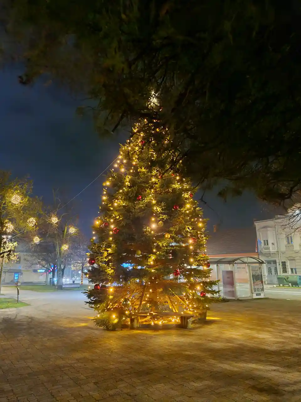 A large, decorated evergreen tree stands in a public square at night, illuminated by strings of warm yellow lights and red…