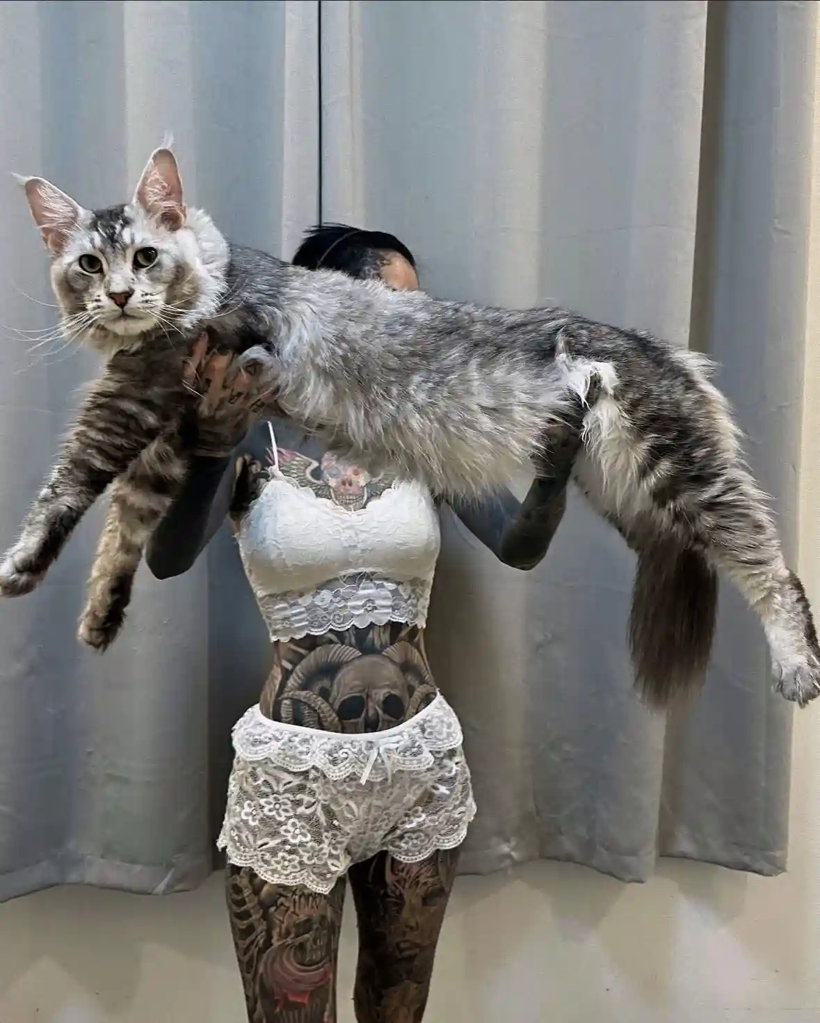 A person with extensive tattoos on their arms, torso, and legs, wearing white lace lingerie, is holding a large, fluffy…
