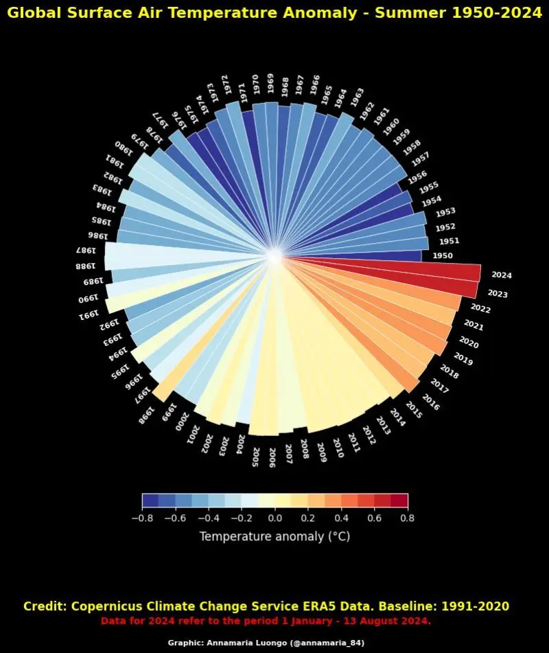 A circular chart displays global surface air temperature anomalies for summer from 1950 to 2024, with each year represented…
