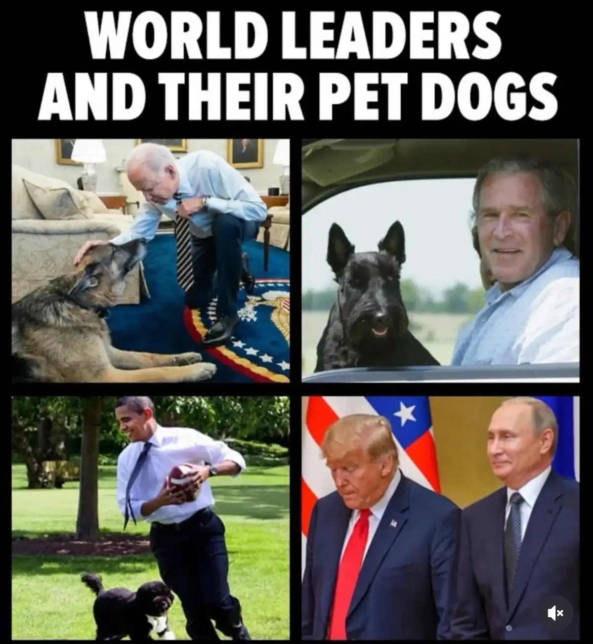 A four-panel meme titled 'WORLD LEADERS AND THEIR PET DOGS' shows Joe Biden petting a German Shepherd, George W. Bush…