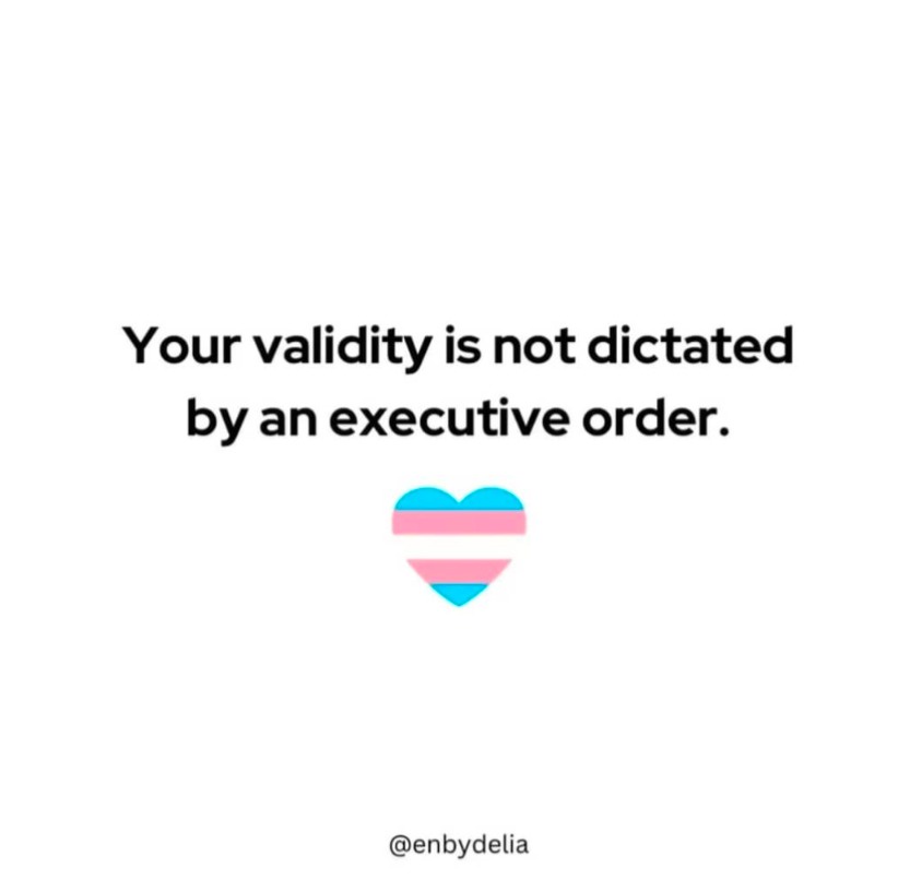 A white background image displays the text 'Your validity is not dictated by an executive order.' in black font, centered…