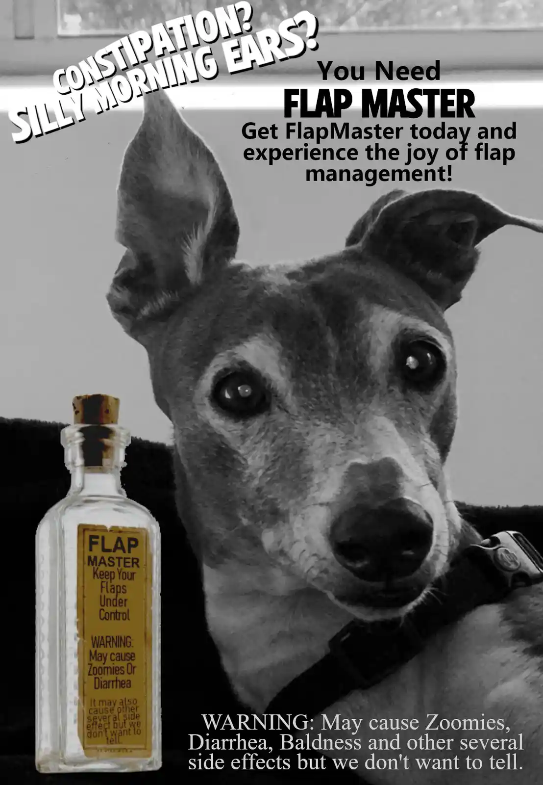 A Quick Message from Our Sponsor: FLAP MASTER!
