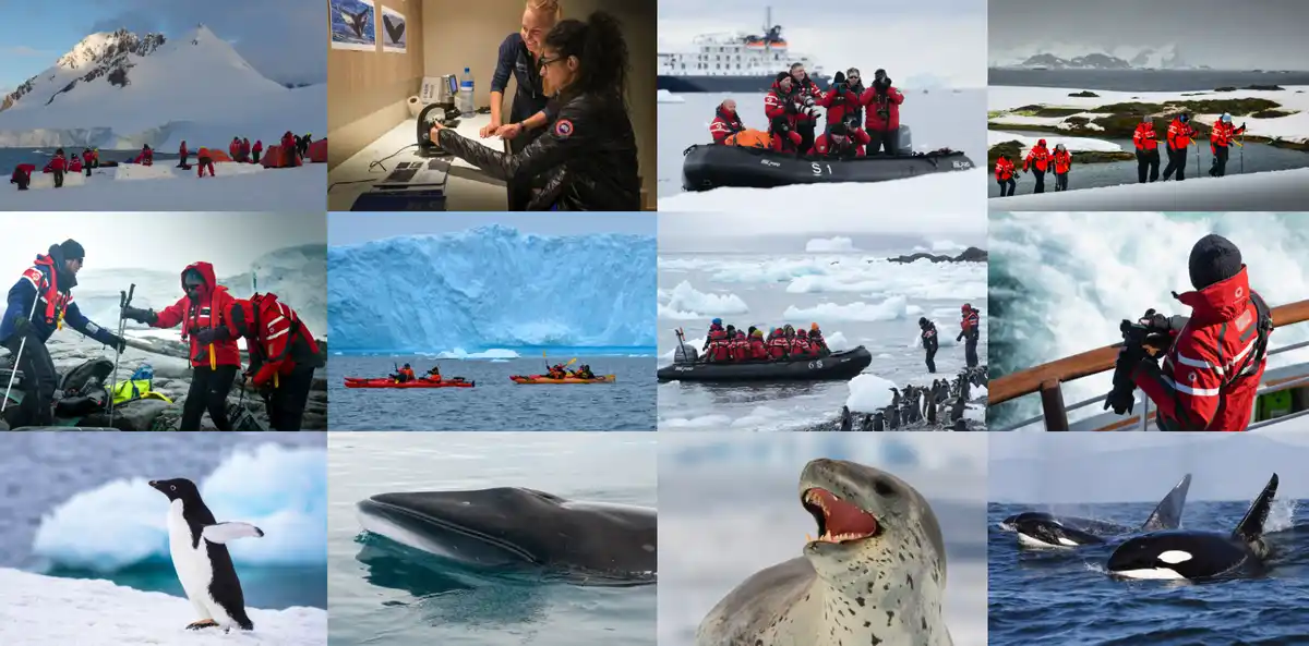 A collage of 12 photos from an Antarctic expedition showing tourists in red jackets exploring snowy landscapes, kayaking…