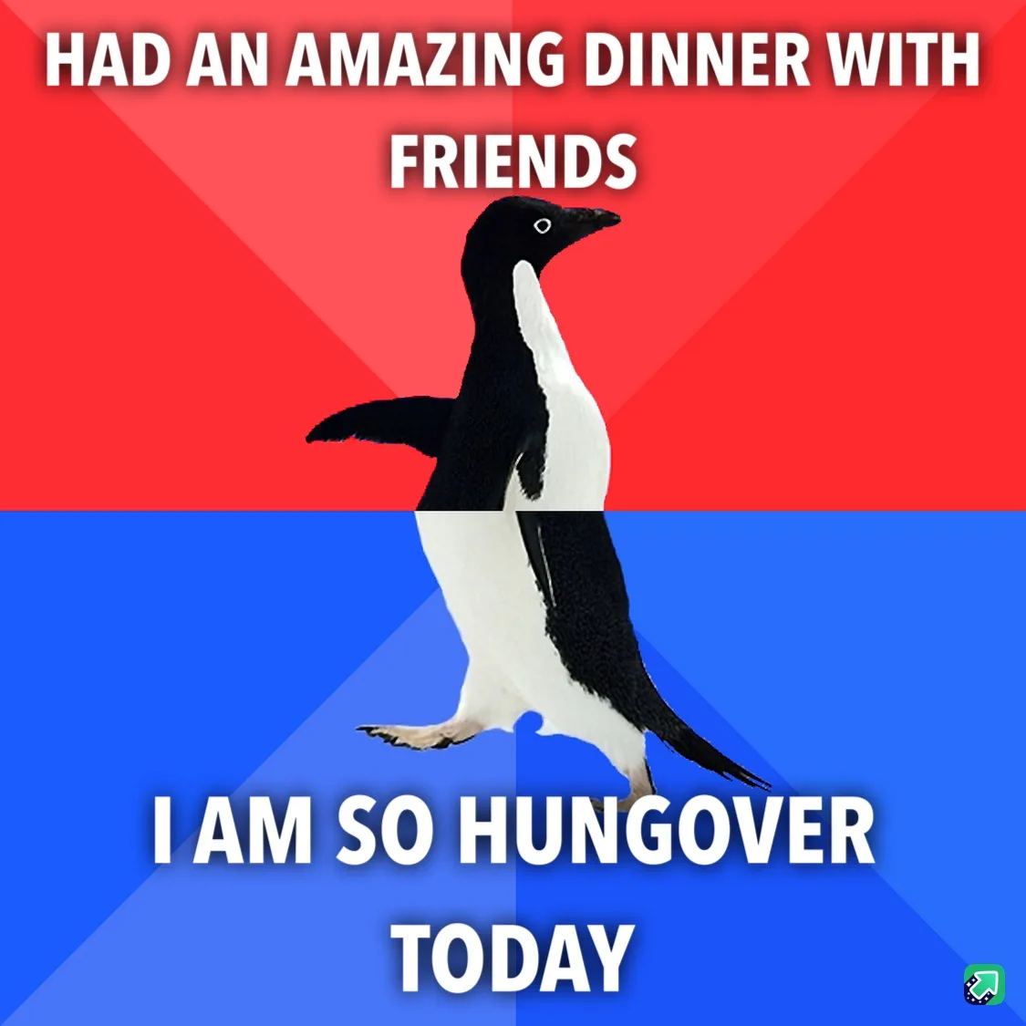 A penguin stands centered against a red and blue background, with white text above reading 'HAD AN AMAZING DINNER WITH…