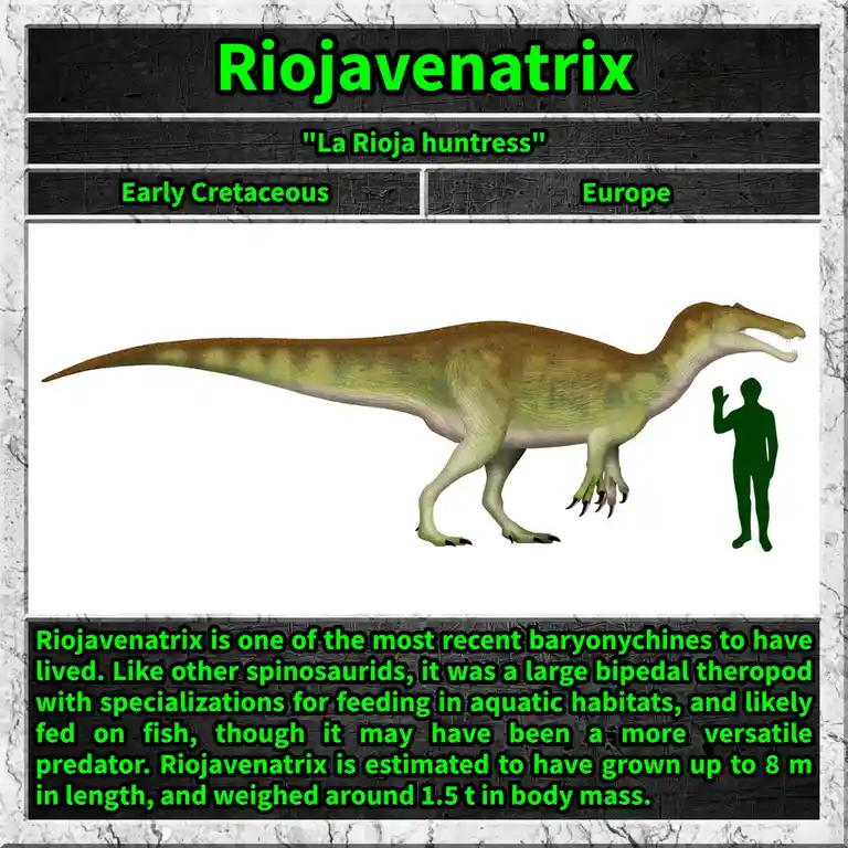 Introducing the Riojavenatrix: A Unique Discovery