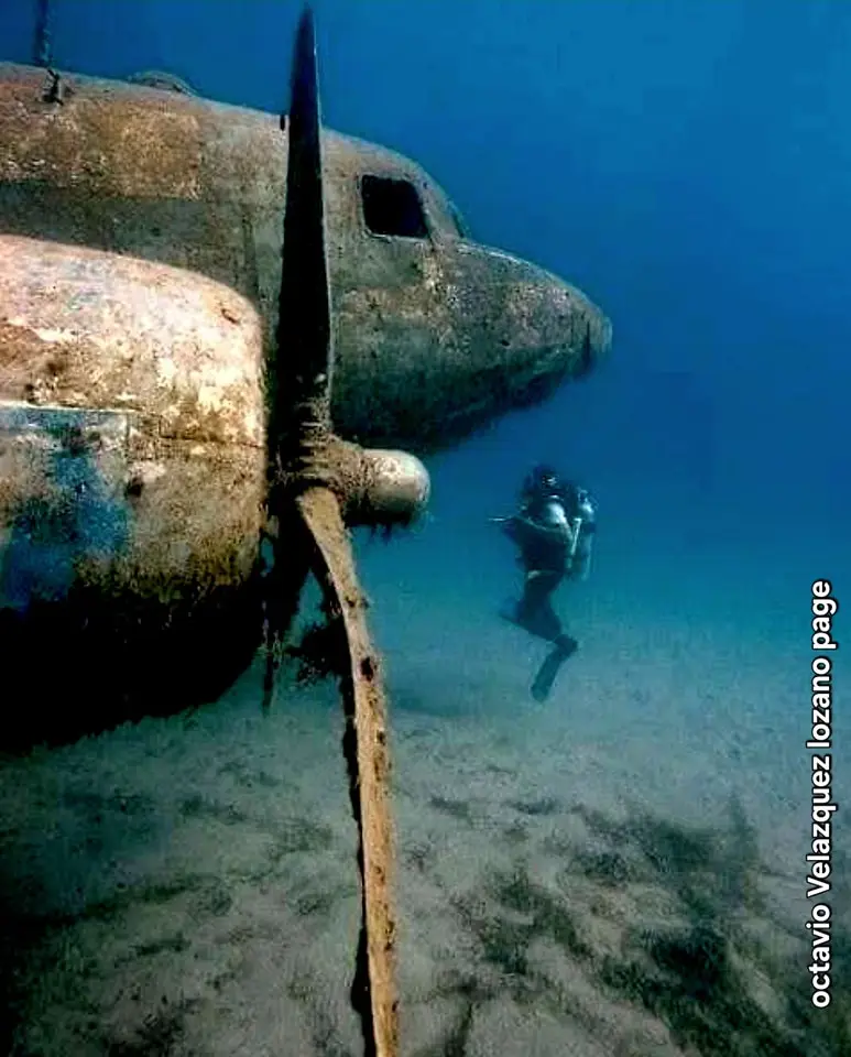 An underwater photograph shows a rusted airplane wreck on the ocean floor, with a scuba diver swimming nearby. The diver is…