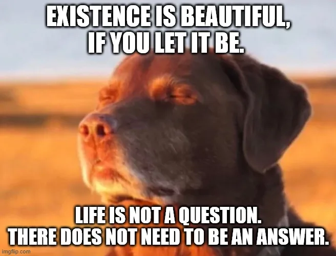 A close-up of a brown dog with its eyes closed, appearing serene and content, set against a warm, blurry desert or field…