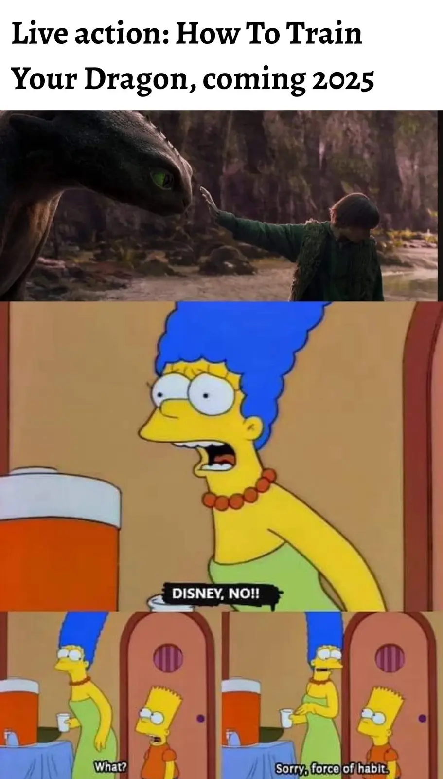 Mastering the art of dragon training