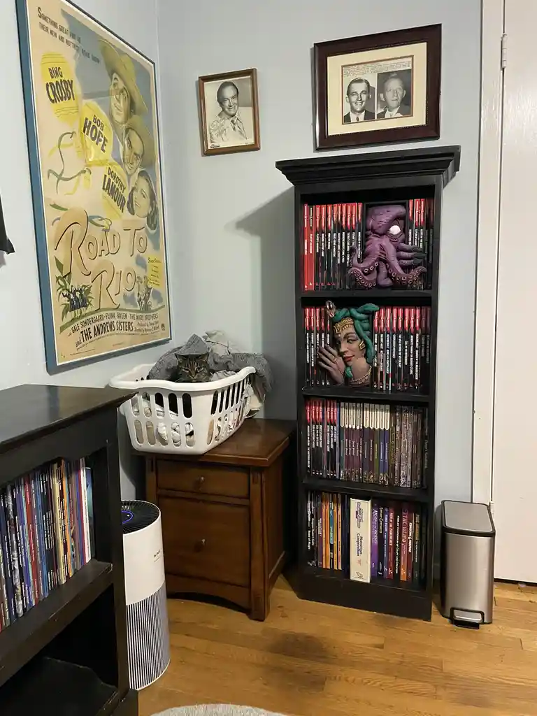 A tabby cat sits calmly in a white laundry basket on a wooden side table, surrounded by vintage movie posters, framed…
