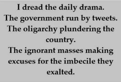 A plain gray background with black serif text listing grievances: 'I dread the daily drama. The government run by tweets…