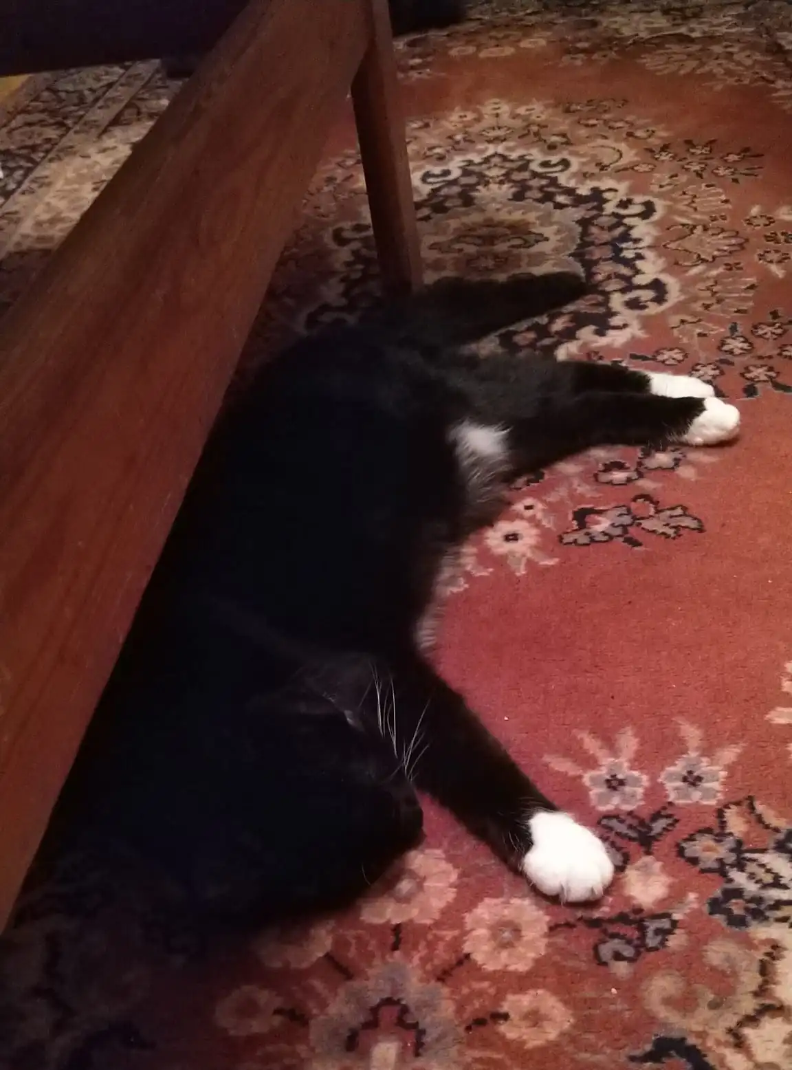 A black and white cat is stretched out on a patterned rug under a wooden table, appearing very relaxed. The overlaid text…