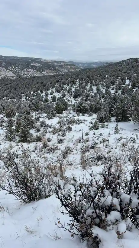 A wide-angle photograph shows a snow-covered mountain valley with evergreen trees and shrubs blanketed in white snow under…