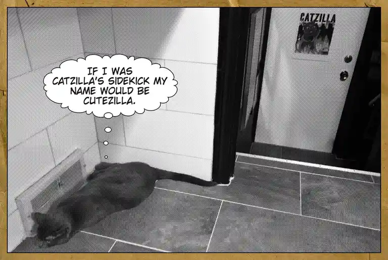 A black-and-white photo shows a cat lying on a tiled floor near a wall, with a thought bubble above it reading 'IF I WAS…