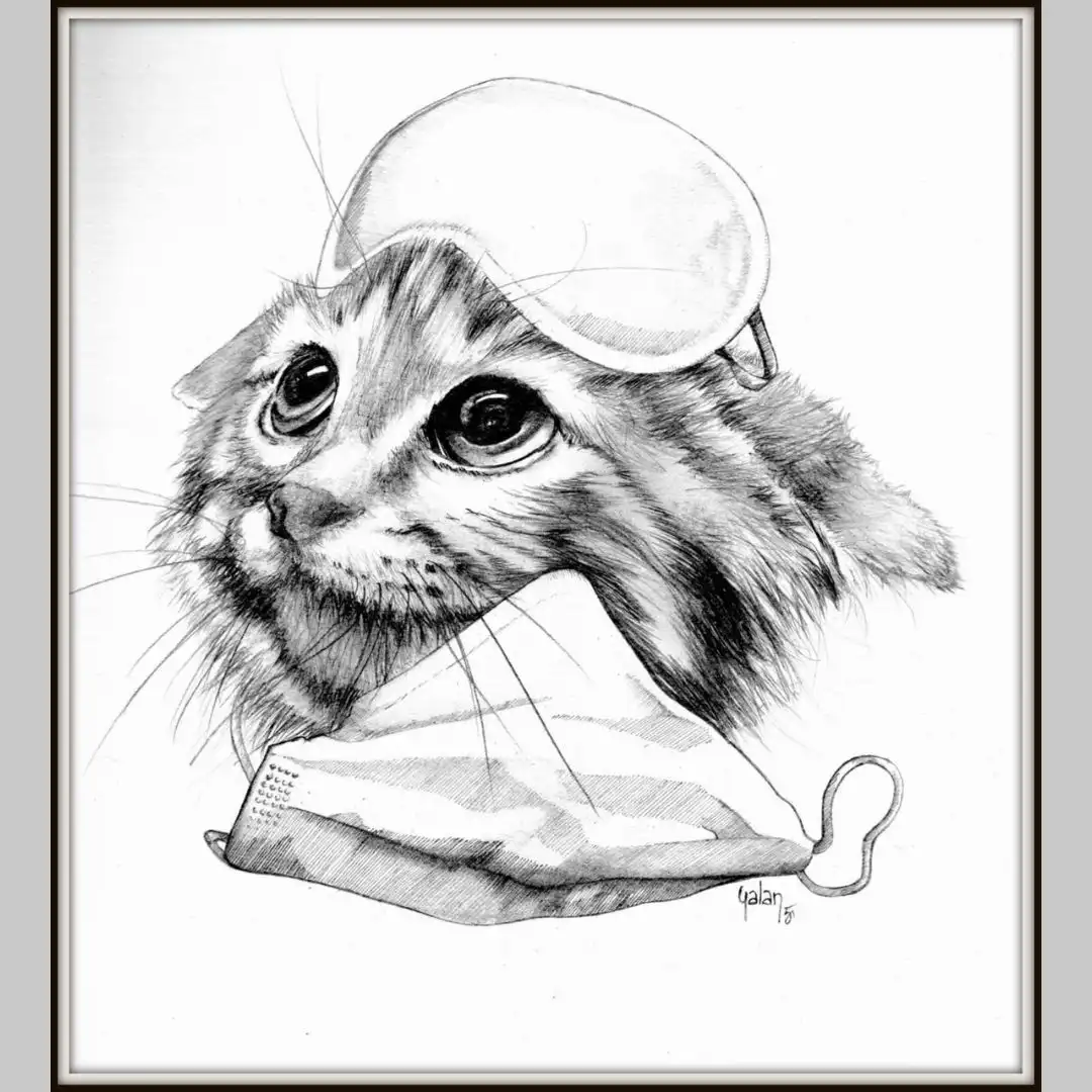 A detailed pencil sketch of a cat wearing a sleep eye mask and holding a face mask in its mouth, looking tired and sad. The…
