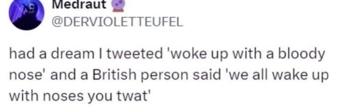 A screenshot of a tweet from user Medraut (@DERVIOLETTEUFEL) showing their text about dreaming they tweeted 'woke up with a…