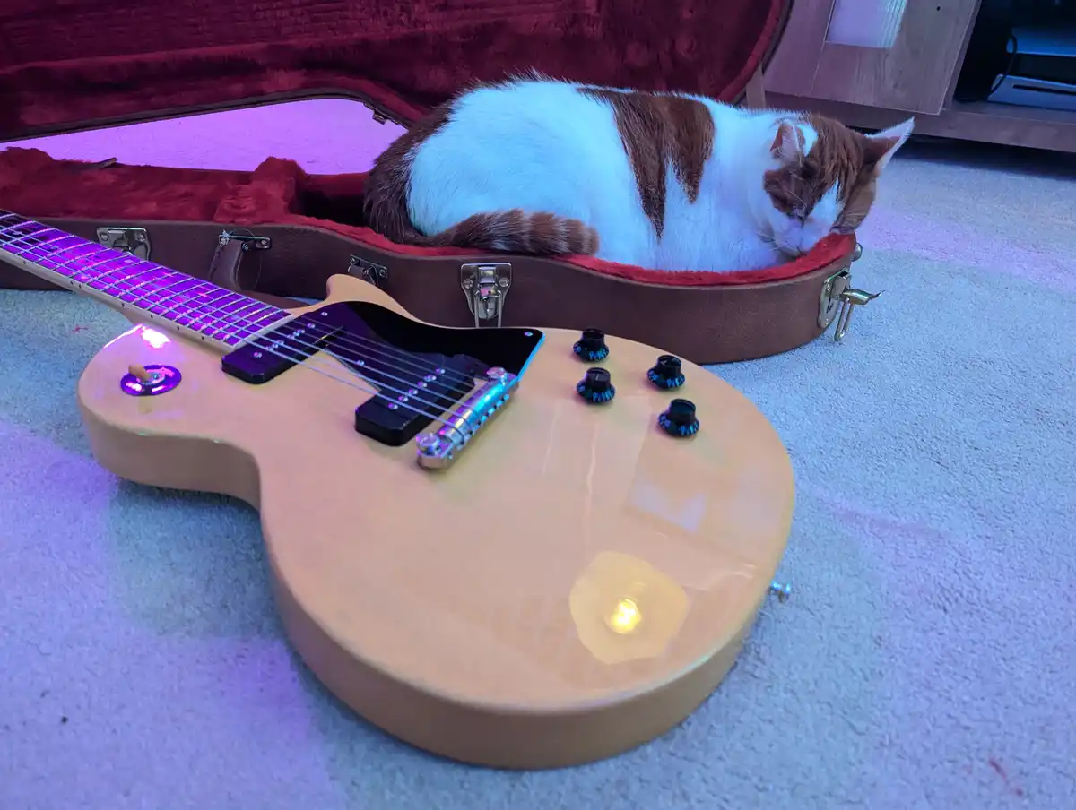 A white and brown cat is curled up and sleeping inside an open, brown guitar case lined with red velvet. In the foreground…