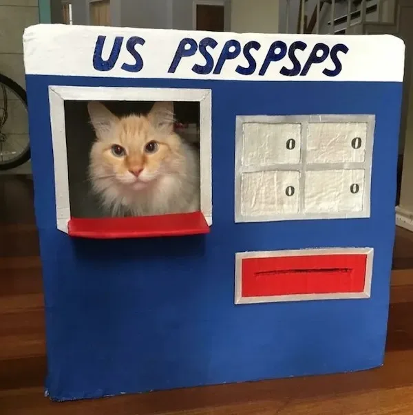 At Your Service with a Twist of Humor...