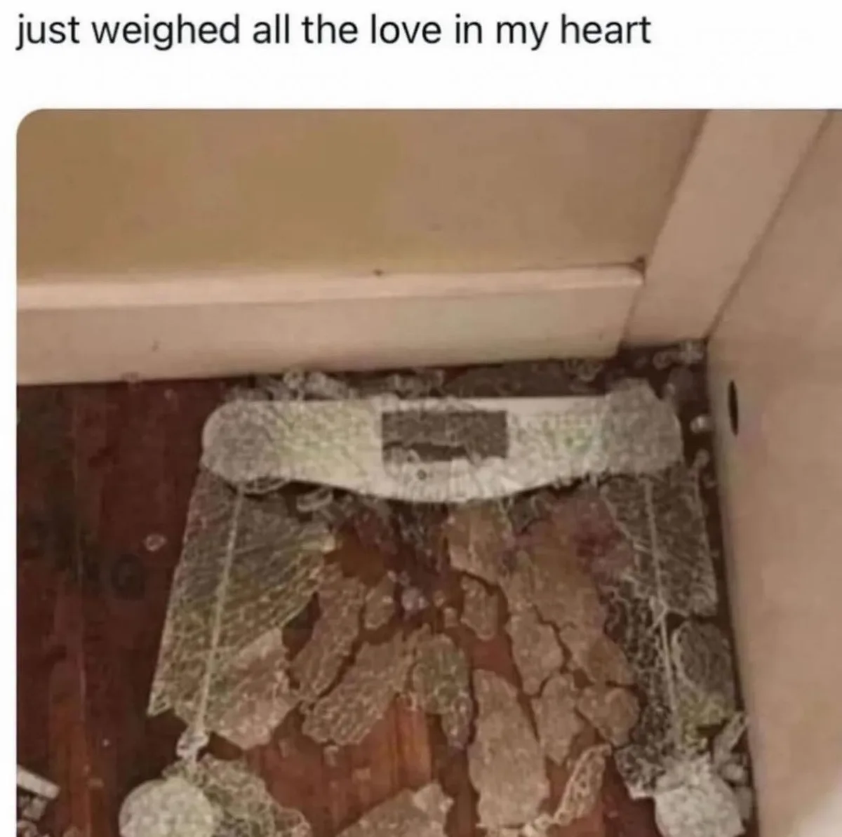 A close-up photo shows a broken, shattered digital bathroom scale lying on a patterned rug near a wall. The scale's display…