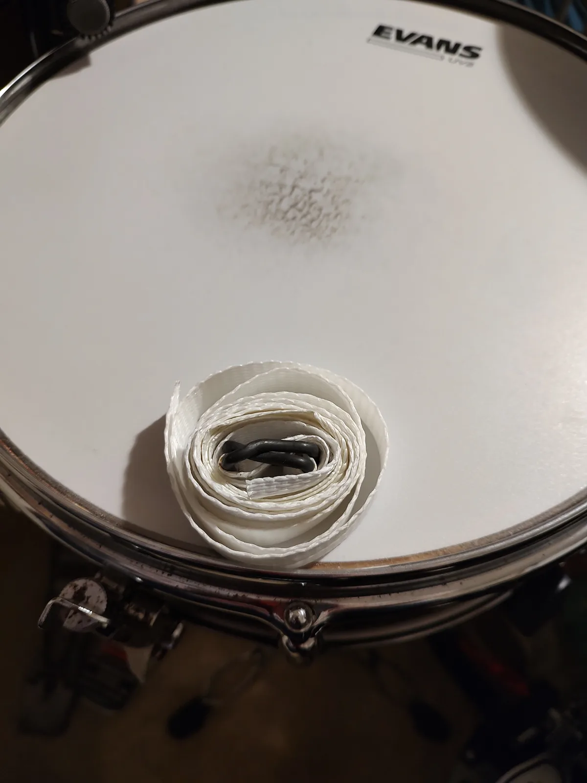 A close-up photo shows a white Evans drum head with a coiled white drum strap resting on its center. The drum head has a…