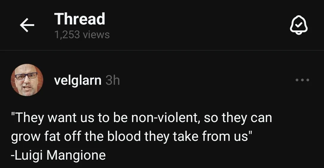 A screenshot of a social media thread shows a user named 'velglarn' posting a quote attributed to Luigi Mangione. The quote…