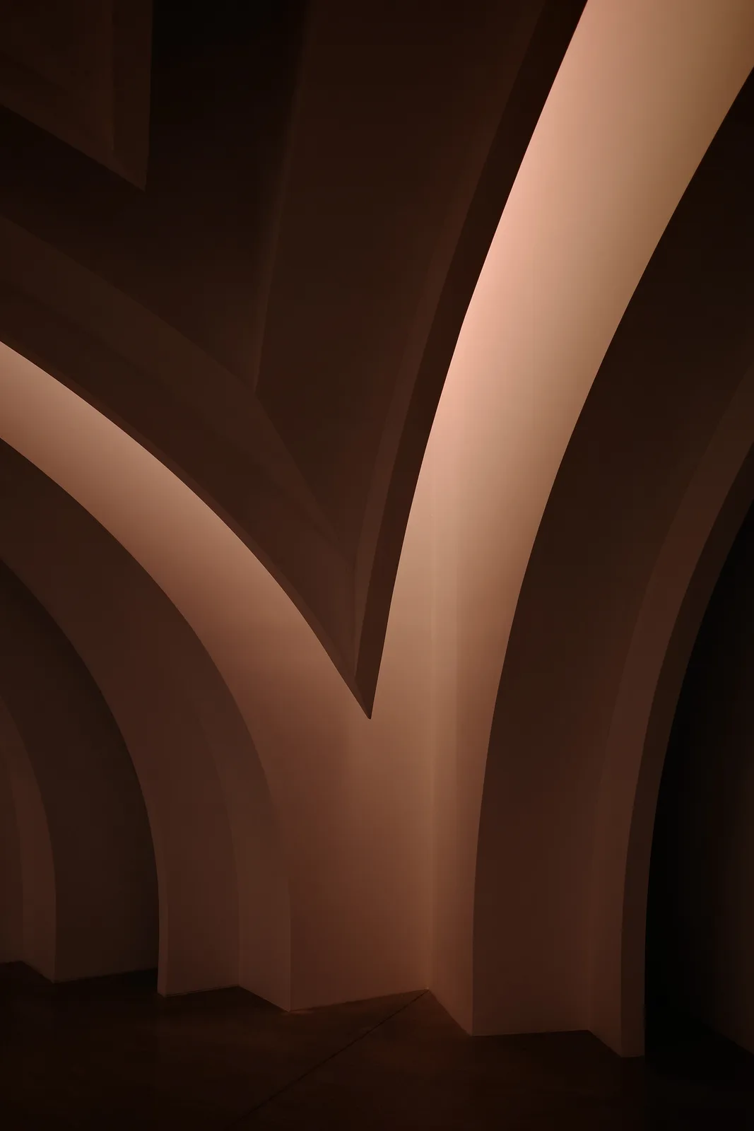 The image shows a dimly lit architectural interior with curved, abstract white structures resembling stylized tree trunks or…