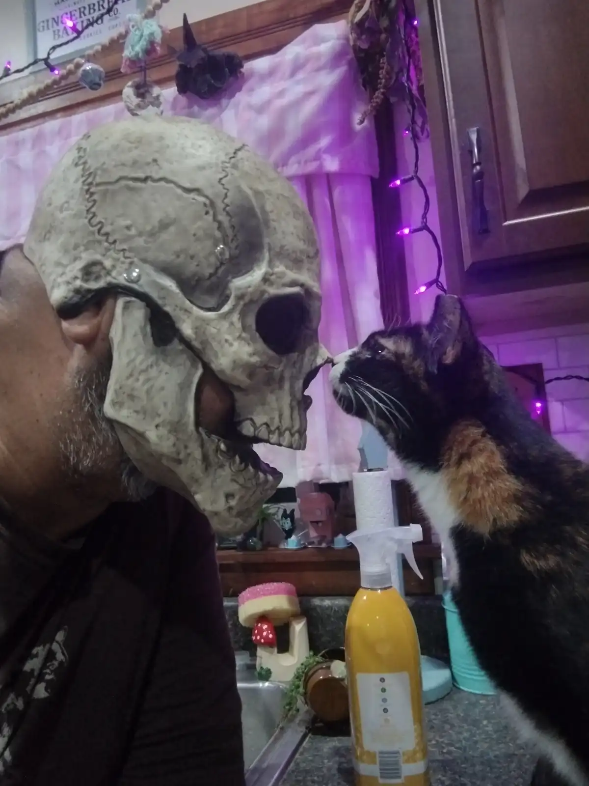 A person wearing a large, detailed skull mask leans in to sniff a calico cat on a kitchen counter. The cat, standing on its…